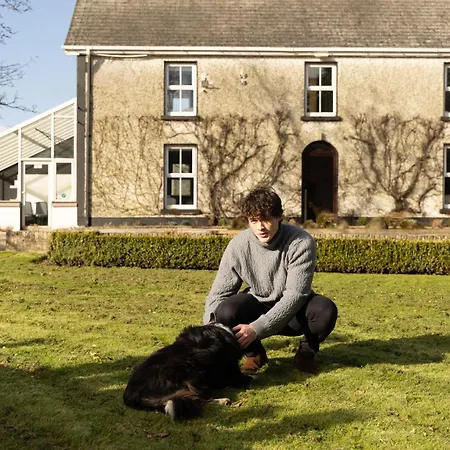 Fitz Of Inch Guest house Stradbally (Laois)